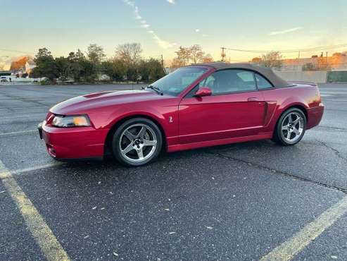 2003 Mustang Cobra Terminator ! for sale in Wantagh, NY