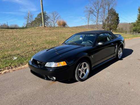 99 SVT Cobra - cars & trucks - by owner - vehicle automotive sale for sale in UNDERWOOD, KY