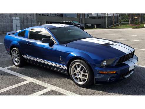 2007 Shelby GT500 for sale in Windermere, FL