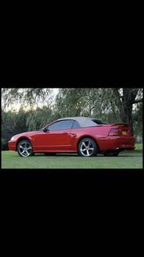 Mustang Cobra - cars & trucks - by owner - vehicle automotive sale for sale in Whitney Point, NY