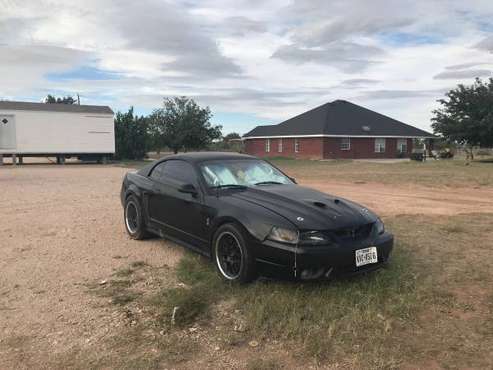 1999 Mustang Svt Cobra for sale in Odessa, TX