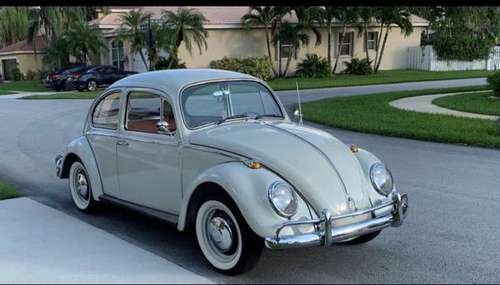 1966 VW Beetle for sale in Miramar, FL