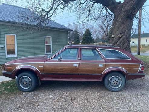 1984 AMC Eagle for sale in Cadillac, MI