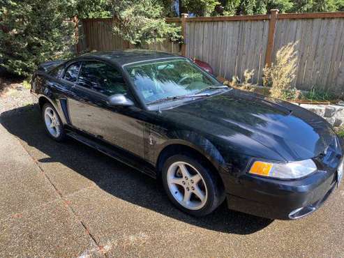 1999 svt cobra muatang - cars & trucks - by owner - vehicle... for sale in Olympia, WA