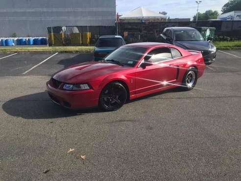 2004 Mustang Cobra for sale in East Meadow, NY