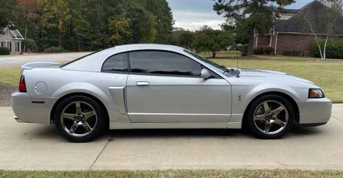 03 Mustang Terminator Cobra for sale for sale in Greenwood, SC