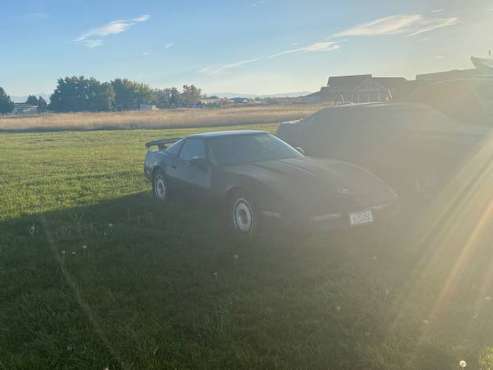 1984 Chevy Corvette for sale in Bozeman, MT