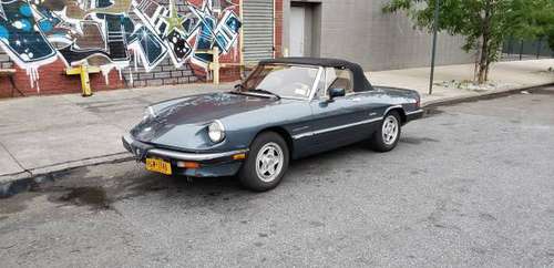 1986 Alfa Romeo Spider Veloce for sale! for sale in Brooklyn, NY