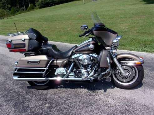 2004 Harley-Davidson Electra Glide for sale in Cadillac, MI