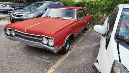 1965 Oldsmobile Cutlass Convertible for sale in TAMPA, FL